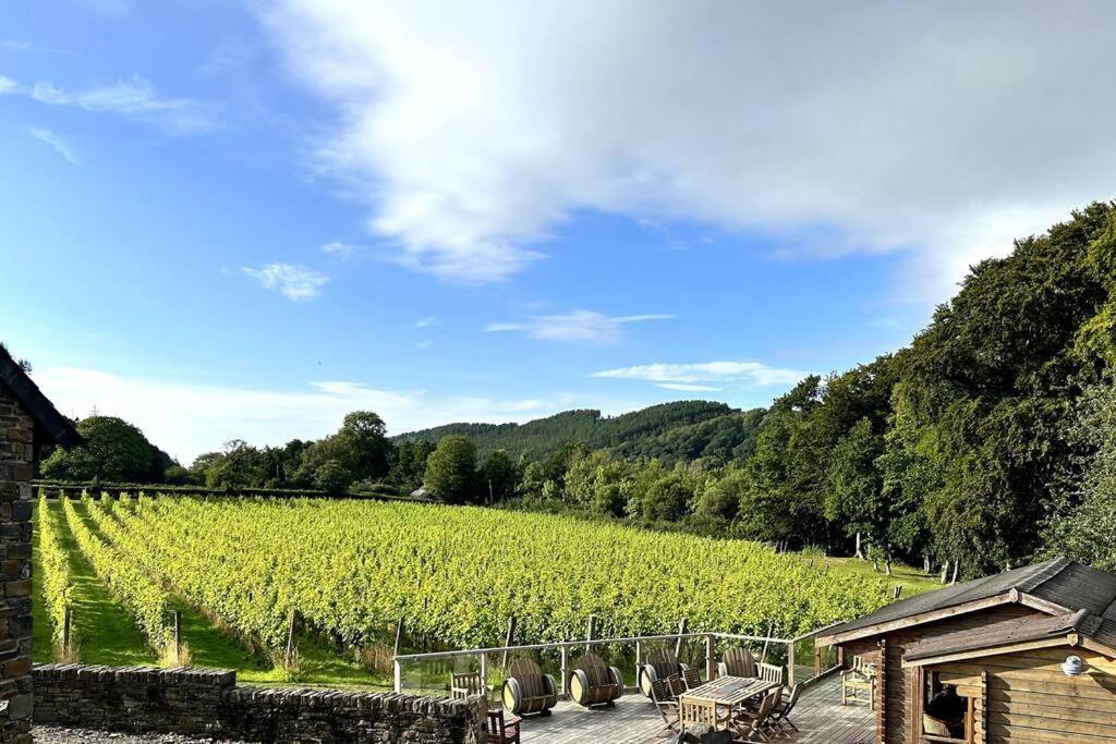 Vineyard Country Cottage Llanerch-Aeron 外观 照片
