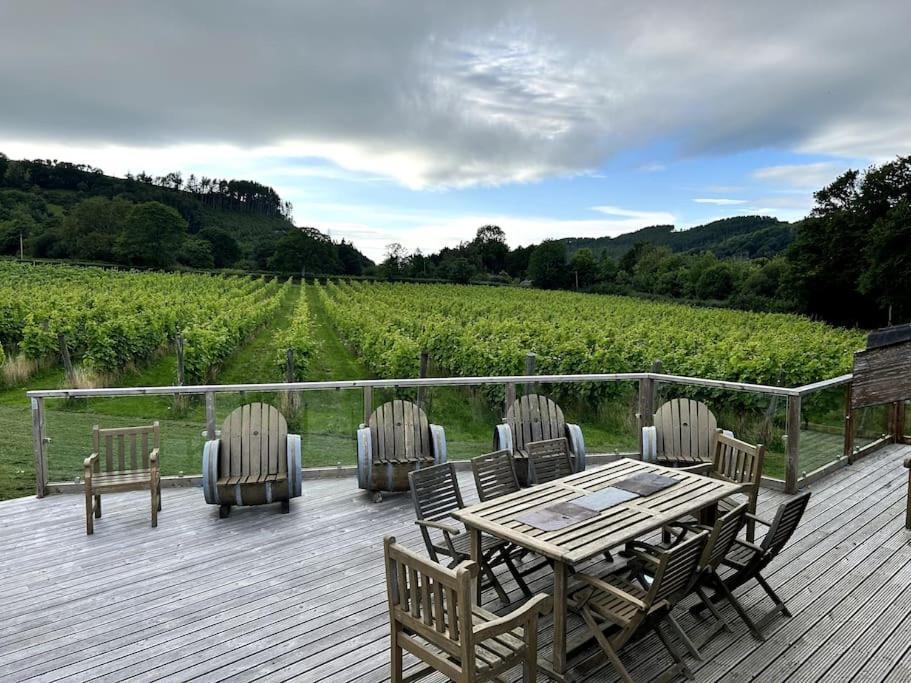 Vineyard Country Cottage Llanerch-Aeron 外观 照片
